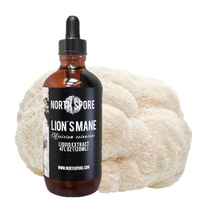 Amber glass dropper bottle of North Spore Lion's Mane liquid extract in front of a shaggy white mushroom.