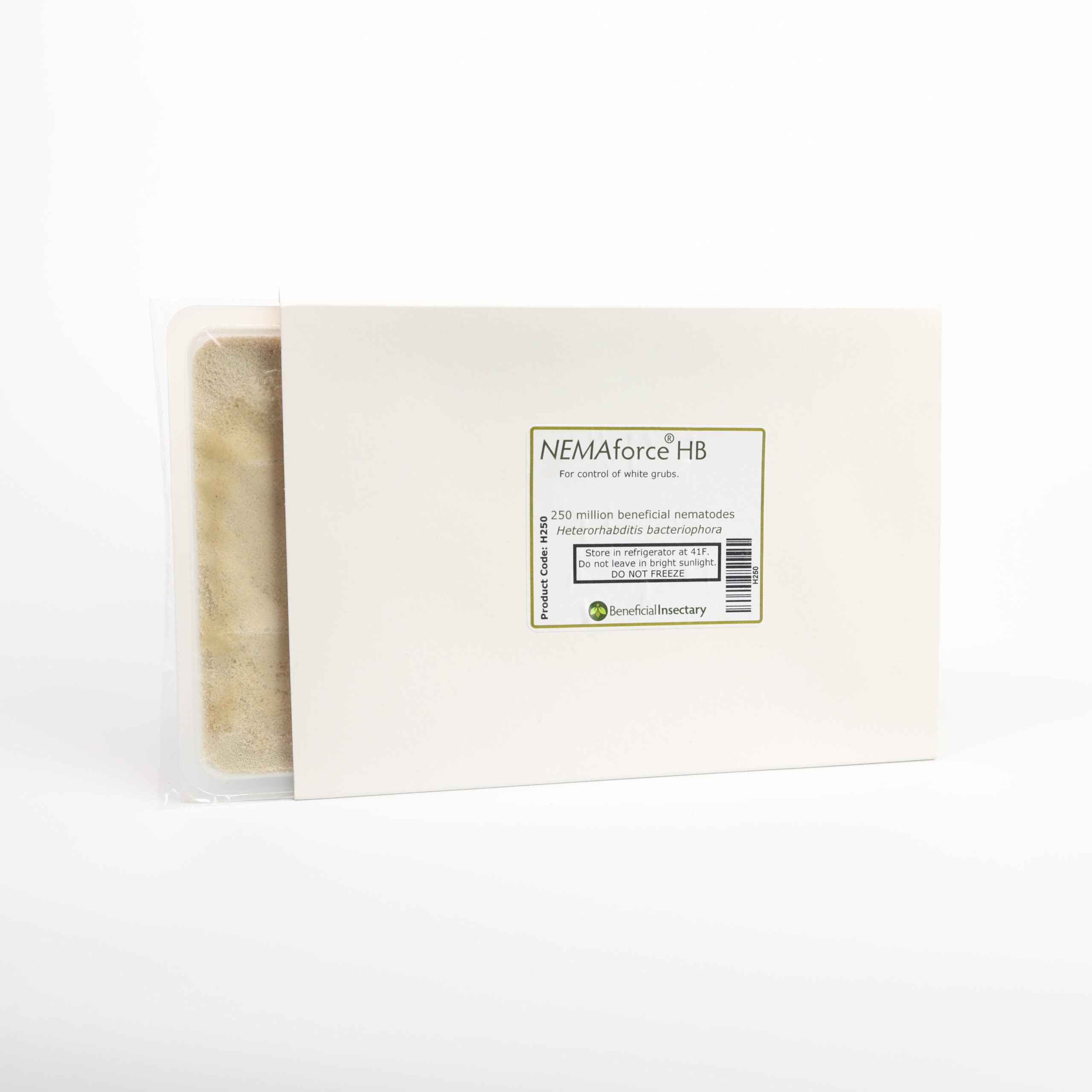 Heterorhabditis bacteriophora – Beneficial Nematodes for Grubs &amp; Soil-Dwelling Insects