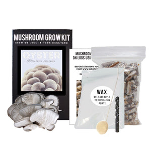 Organic Blue Oyster mushroom log growing kit with spawn plugs, wax, a drill bit, and instructions on a white background.