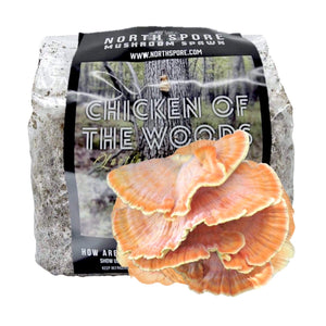 A bag of North Spore Organic Chicken of the Woods sawdust spawn for growing bright orange, shelf-like mushrooms.