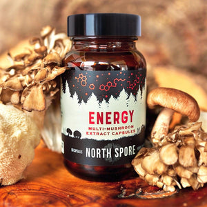 North Spore 'Energy' multi-mushroom extract capsules in a brown glass bottle surrounded by fresh mushrooms.