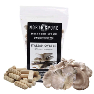 Bag of Organic Italian Oyster mushroom plug spawn with light wood dowels and fresh mushrooms, used for log cultivation.