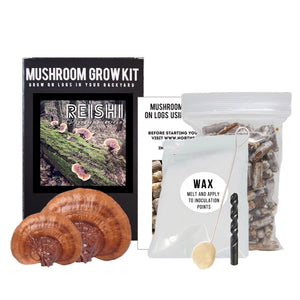 Organic Red Reishi mushroom log growing kit with spawn plugs, wax, applicator, drill bit, and instructional box.