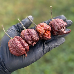 Chocolate Reaper Pepper Seeds