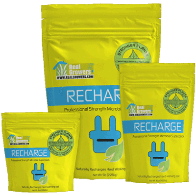 Real Growers Recharge - Soil Microbe Superpack, Instant Compost Tea
