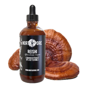 A 4 oz amber glass dropper bottle of North Spore Reishi mushroom liquid extract, shown with dried Reishi mushrooms.