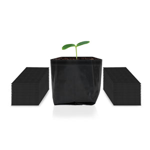 AC Infinity Nursery Bags, 1/4 Gallon Fabric Growing Pouches, 50-Pack