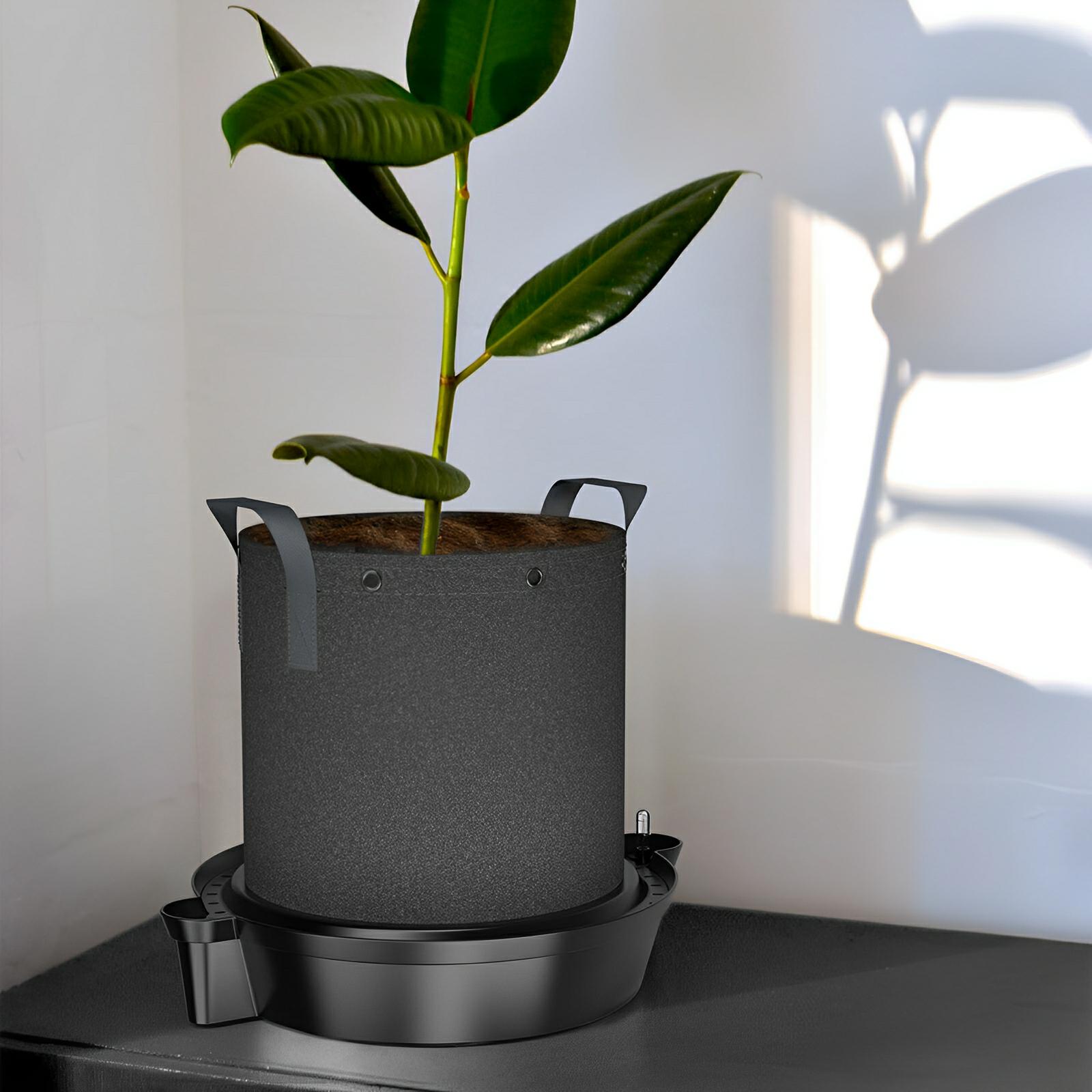 large self watering plants AC Infinity Self Watering Fabric Pot Base XL- 4 Pack
