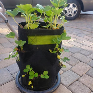 Black fabric strawberry grow bag with lime green handles and seven side pockets for planting, sitting on a patio.