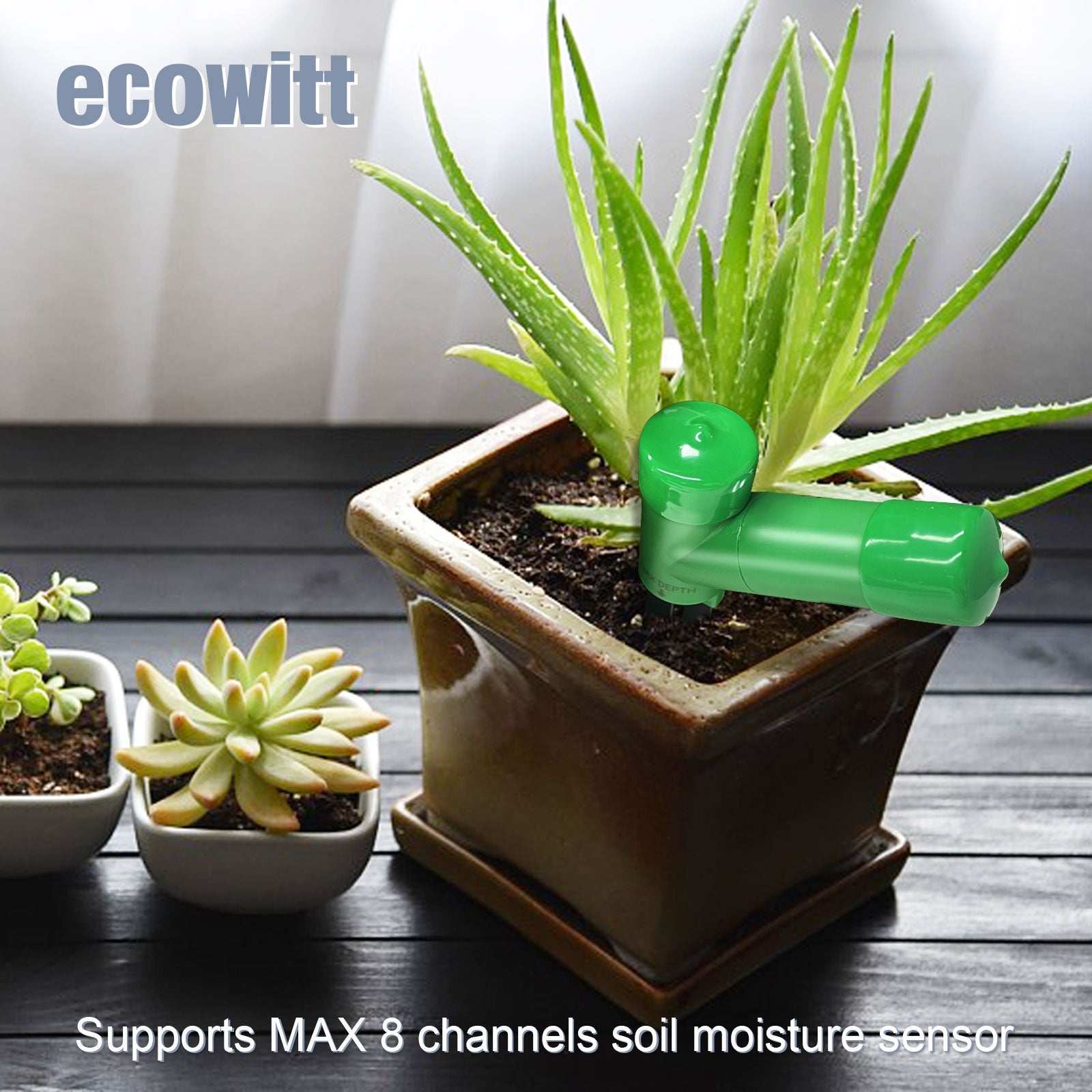indoor plant soil moisture meter Ecowitt WH51 Wireless Soil Moisture Sensor