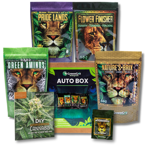 AutoBox