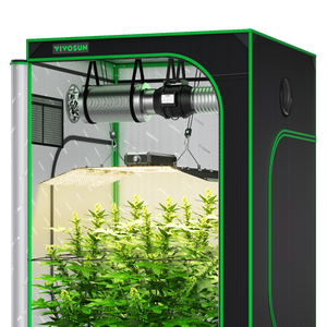 Black grow tent with green trim, interior reflective lining, hanging LED grow light, and ventilation system.