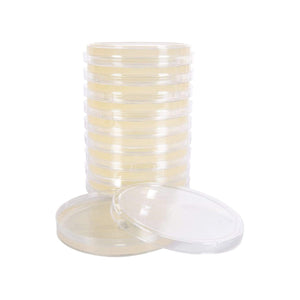 Stack of clear plastic petri dishes with pale yellow agar, plus one dish and lid in front.