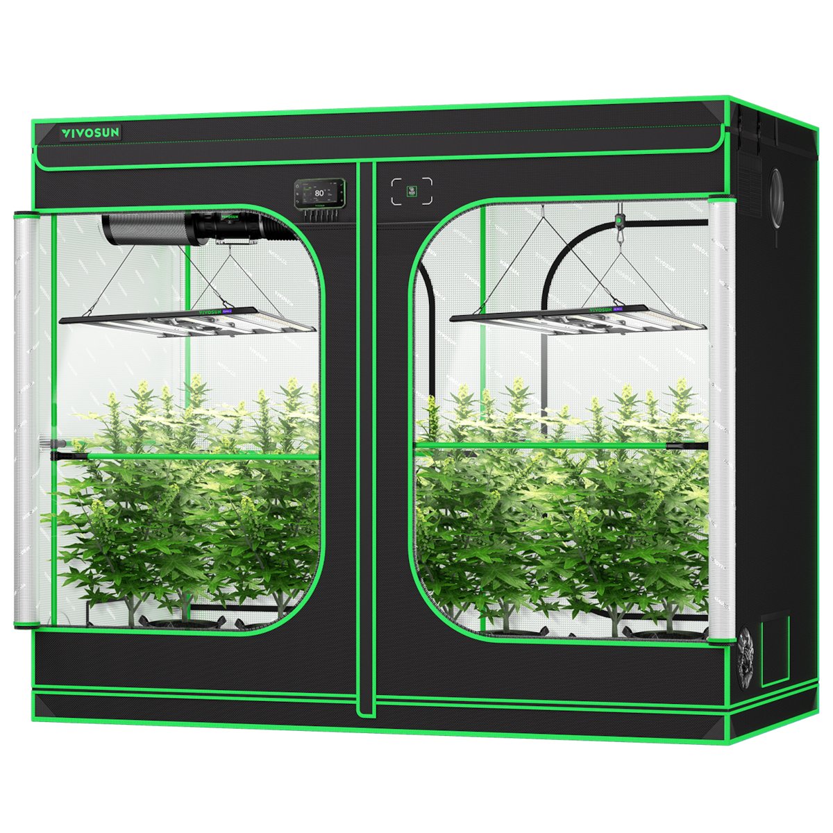 Black and green grow tent with two chambers, each containing potted green plants and hanging LED lights.