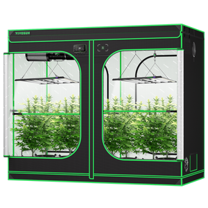 Black and green grow tent with two chambers, each containing potted green plants and hanging LED lights.