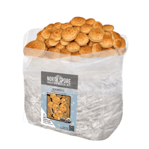 North Spore Nameko fruiting block kit in a clear plastic bag, with golden-brown nameko mushrooms sprouting out.