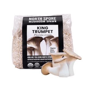 North Spore King Trumpet mushroom spawn bag filled with grain, featuring a label with photos of harvested mushrooms.