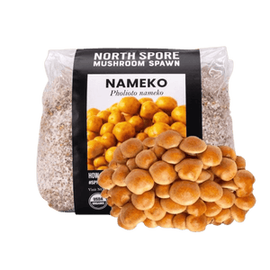 Clear plastic bag of Nameko mushroom spawn with a black label, next to a cluster of fresh brown mushrooms.