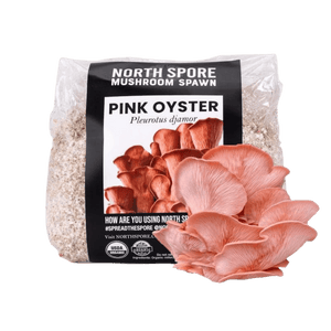A bag of North Spore pink oyster mushroom spawn with a cluster of pink oyster mushrooms in front.