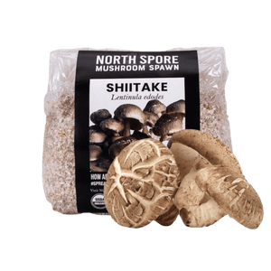 North Spore Shiitake mushroom spawn bag with fresh brown shiitake mushrooms in front.