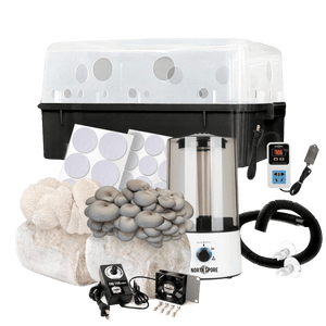 Mushroom cultivation kit with black and clear tub, humidifier, fan, controller, filters, and substrate blocks.