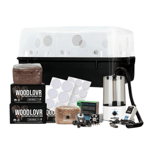 Mushroom growing kit with black and white tub, filter patches, substrate blocks, humidifier, and fan on a black background.