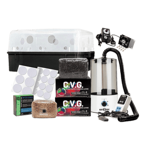 Mushroom growing kit with black tub, clear dome, humidifier, fans, substrate blocks, and filter patches.