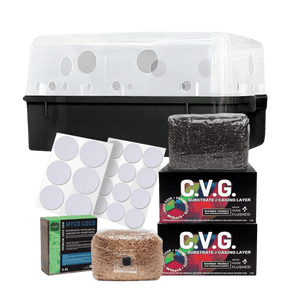 Mushroom growing kit with black tub, clear lid, two CVG boxes, substrate bags, coco coir, and filter patch sheets.