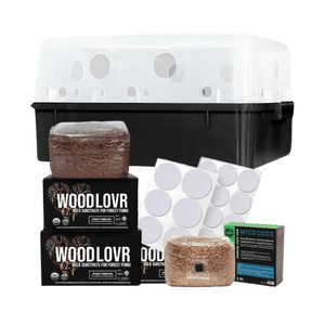 Mushroom grow kit with a black and clear bin, substrate bags, coco coir block, and filter patches.