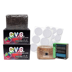 Mushroom cultivation kit with CVG substrate bags, grain bag, filter patches, and Myco Coco box.