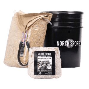 Mushroom growing kit including a black bucket, straw bag, and Blue Oyster spawn block.