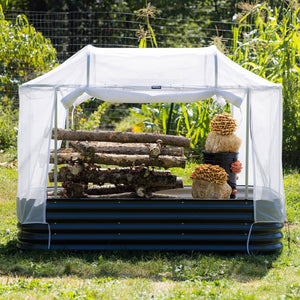 Black raised bed with white mesh tent holding stacked logs and mushroom substrates.