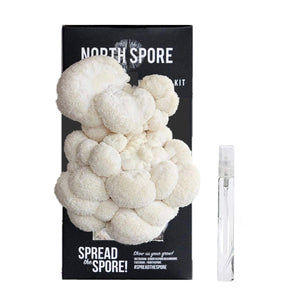 North Spore Lion’s Mane mushroom kit with a large, shaggy white mushroom growing from a black box and a clear spray mist.