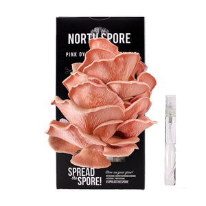 North Spore Pink Oyster mushroom grow kit featuring a cluster of coral-pink mushrooms and a clear plastic spray bottle.