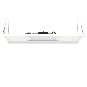 HLG 320 Rspec Far Red, 320w LED Grow Light