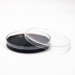 Clear plastic Petri dish containing dark medium, with the lid resting beside it on a white surface.