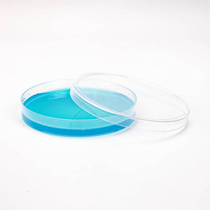 Clear plastic petri dish filled with blue agar gel, with its lid resting beside it on a white surface.