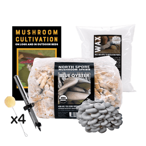 Blue Oyster mushroom cultivation kit with spawn plugs, wax, drill bit, and an instructional guide.