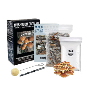 Chestnut mushroom grow kit including box, plug spawn bag, wax bag, instruction guide, drill bit, and dabber.