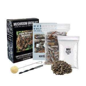 Hen of the Woods mushroom grow kit with a black box, instruction manual, plug spawn, wax, drill bit, and dabber.
