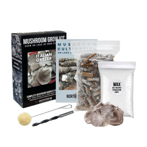Mushroom grow kit with box, instruction booklet, plug spawn, wax, drill bit, dauber, and oyster mushrooms.
