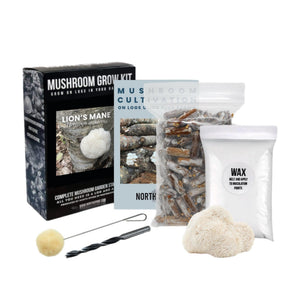 Lion's Mane mushroom log kit with box, instruction booklet, plug spawn, wax, drill bit, and dauber.