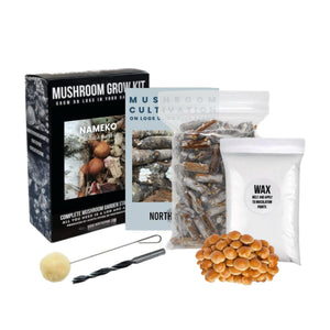 Mushroom grow kit including a box, instructions, plug spawn, wax, a drill bit, and a dabber.