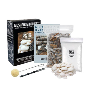 Snow Oyster mushroom grow kit components: box, manual, plug spawn, wax, dauber, drill bit, and fresh mushrooms.