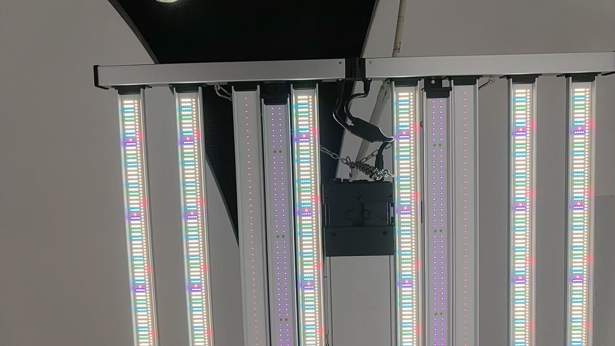 Mammoth Lighting Nova Sun Series 6-Bar 720W LED Grow Light - Image 6