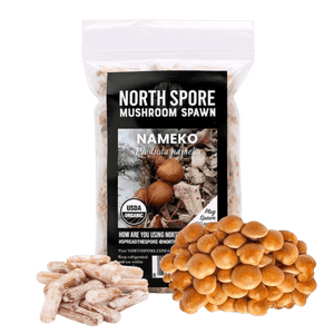A bag of North Spore Nameko mushroom plug spawn with a cluster of brown mushrooms and wooden dowels.