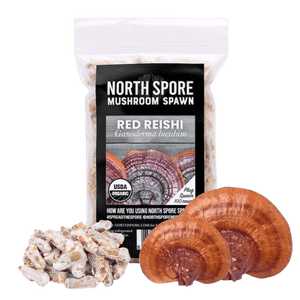 North Spore Red Reishi mushroom plug spawn bag with wooden plugs and mature reishi mushrooms.