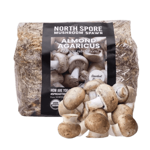 North Spore Almond Agaricus mushroom spawn bag with a black label, piled with brown mushrooms in front.