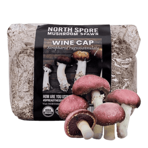 North Spore Wine Cap mushroom spawn bag with a black label, next to harvested pinkish-red capped mushrooms.
