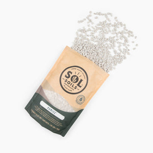Pumice